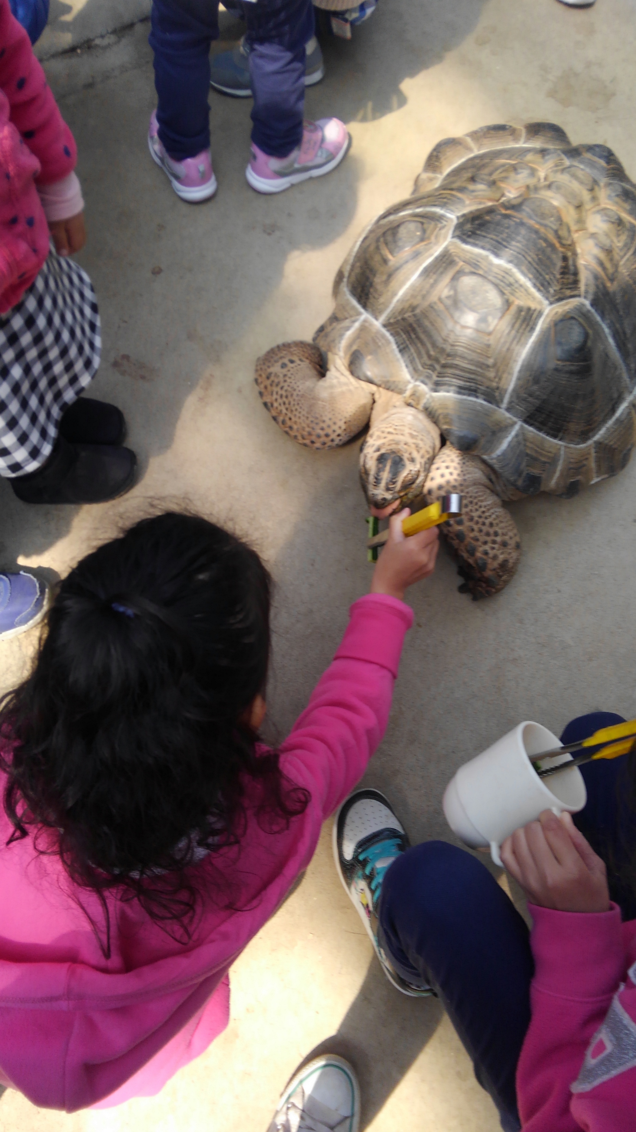 神戸どうぶつ王国_口コミ投稿写真20180530171010