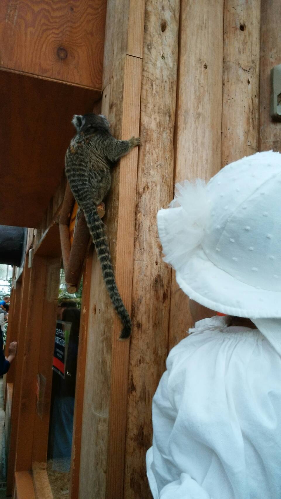 神戸どうぶつ王国_口コミ投稿写真20180530182556