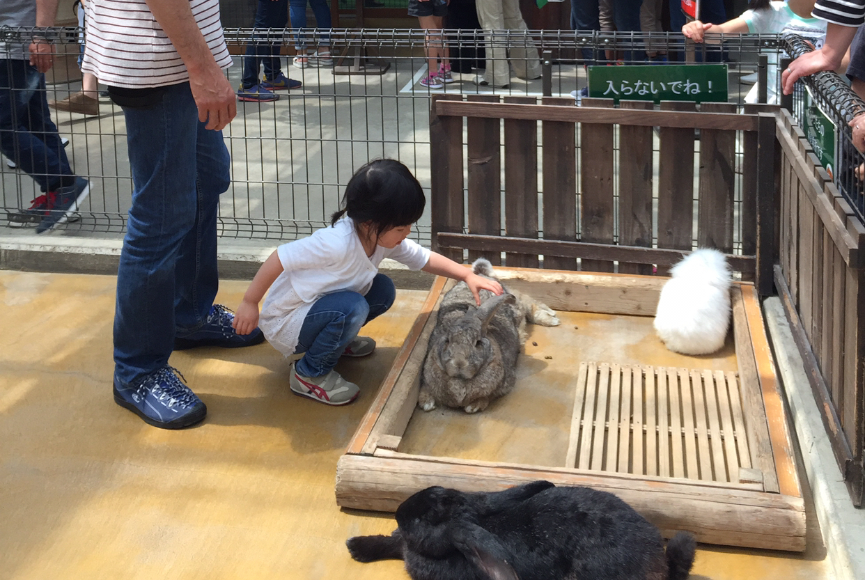 神戸どうぶつ王国_口コミ投稿写真20180531121700
