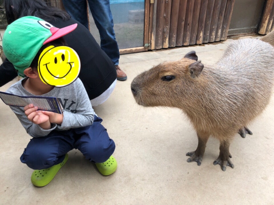 神戸どうぶつ王国_口コミ投稿写真20180607215338