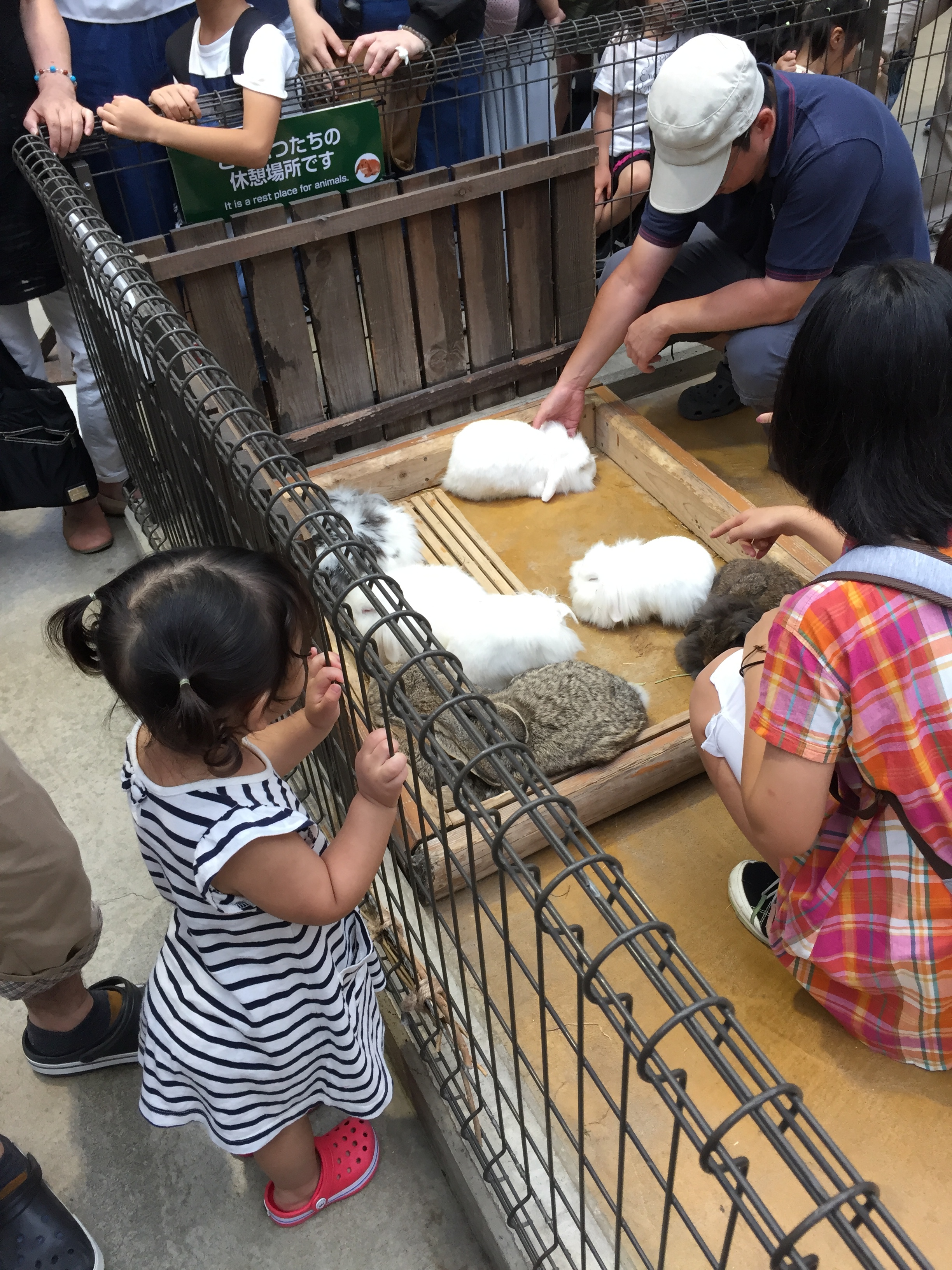 神戸どうぶつ王国_口コミ投稿写真20180614193548