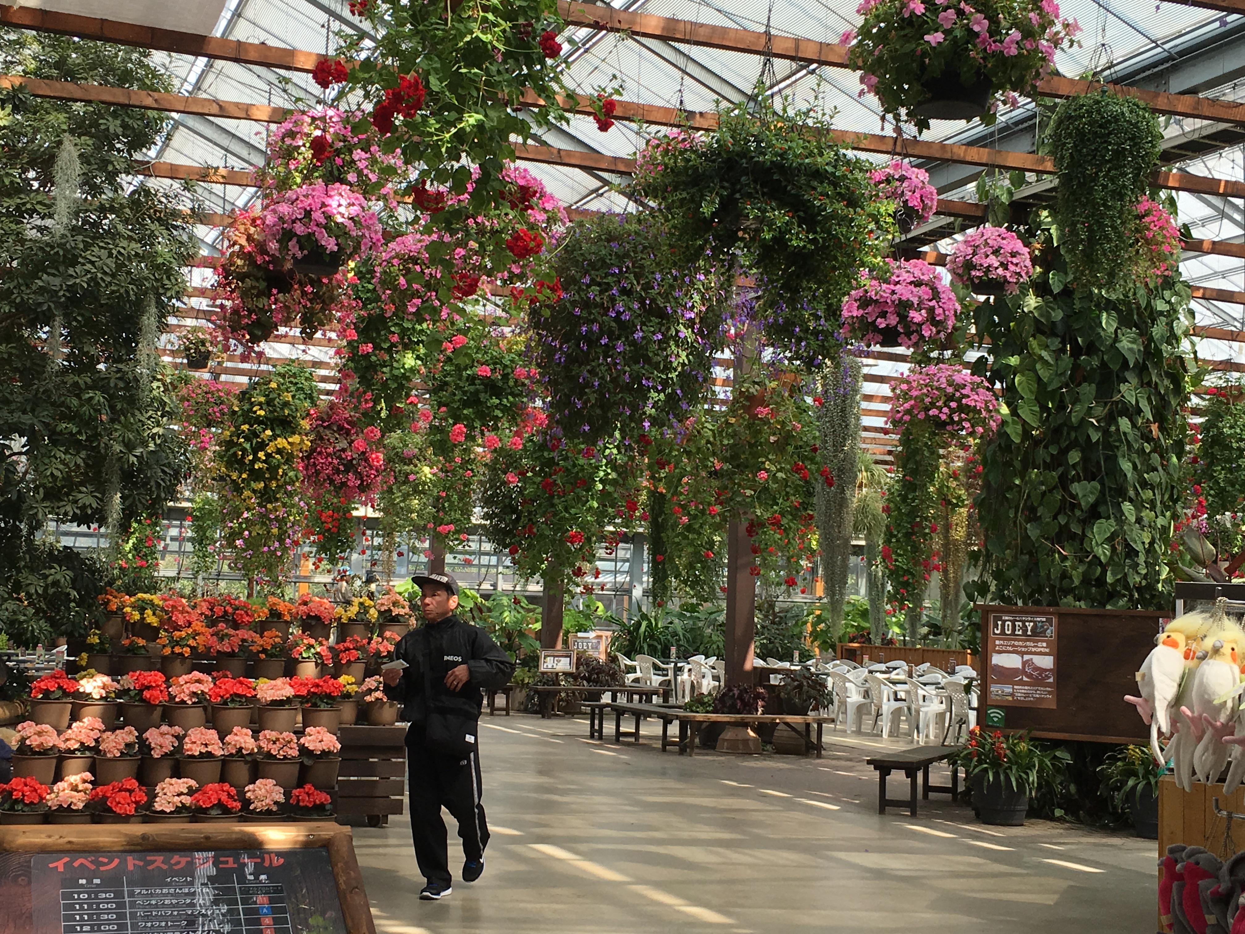 神戸どうぶつ王国_口コミ投稿写真20180617143333