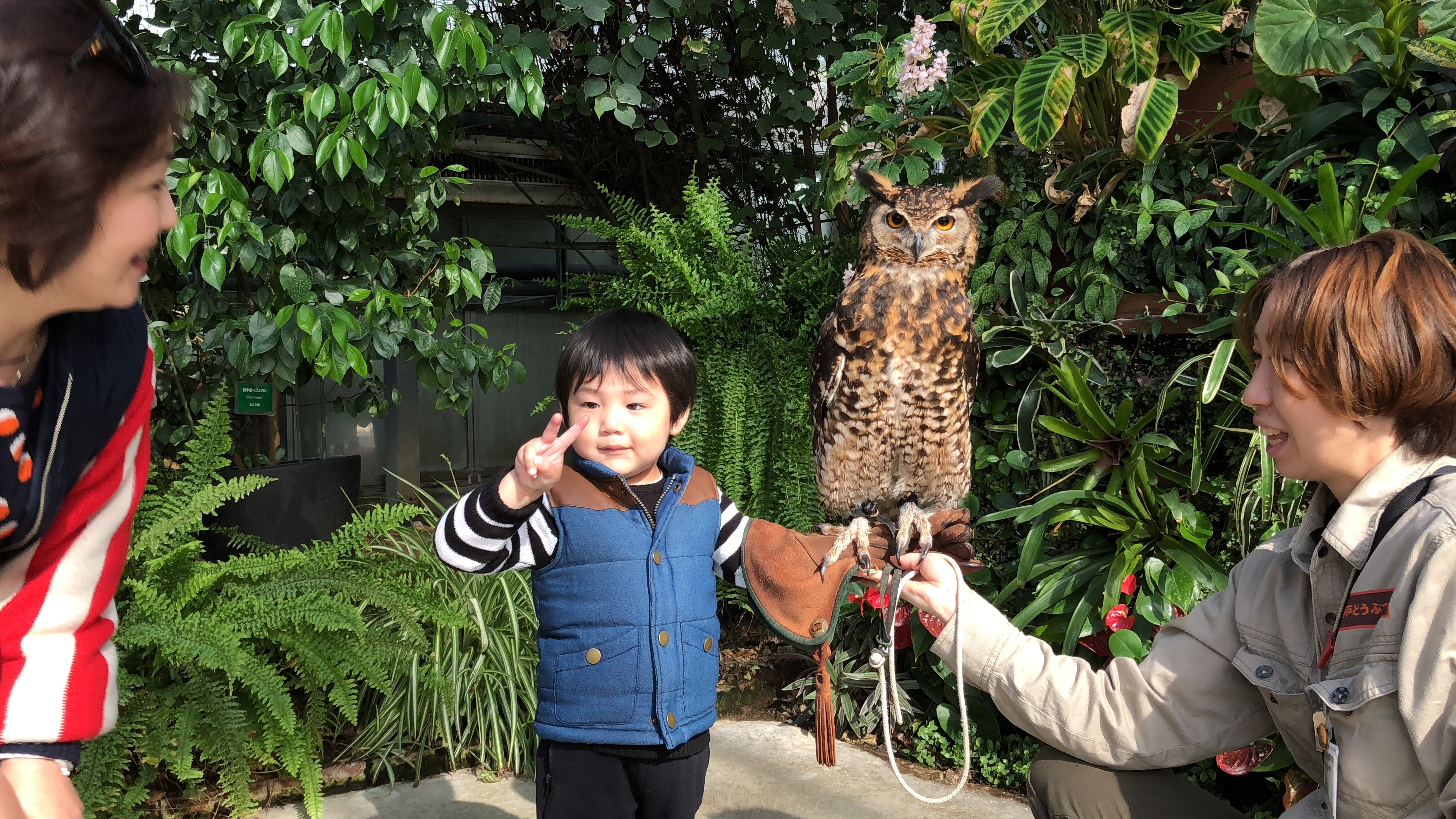 神戸どうぶつ王国_口コミ投稿写真20180619111904