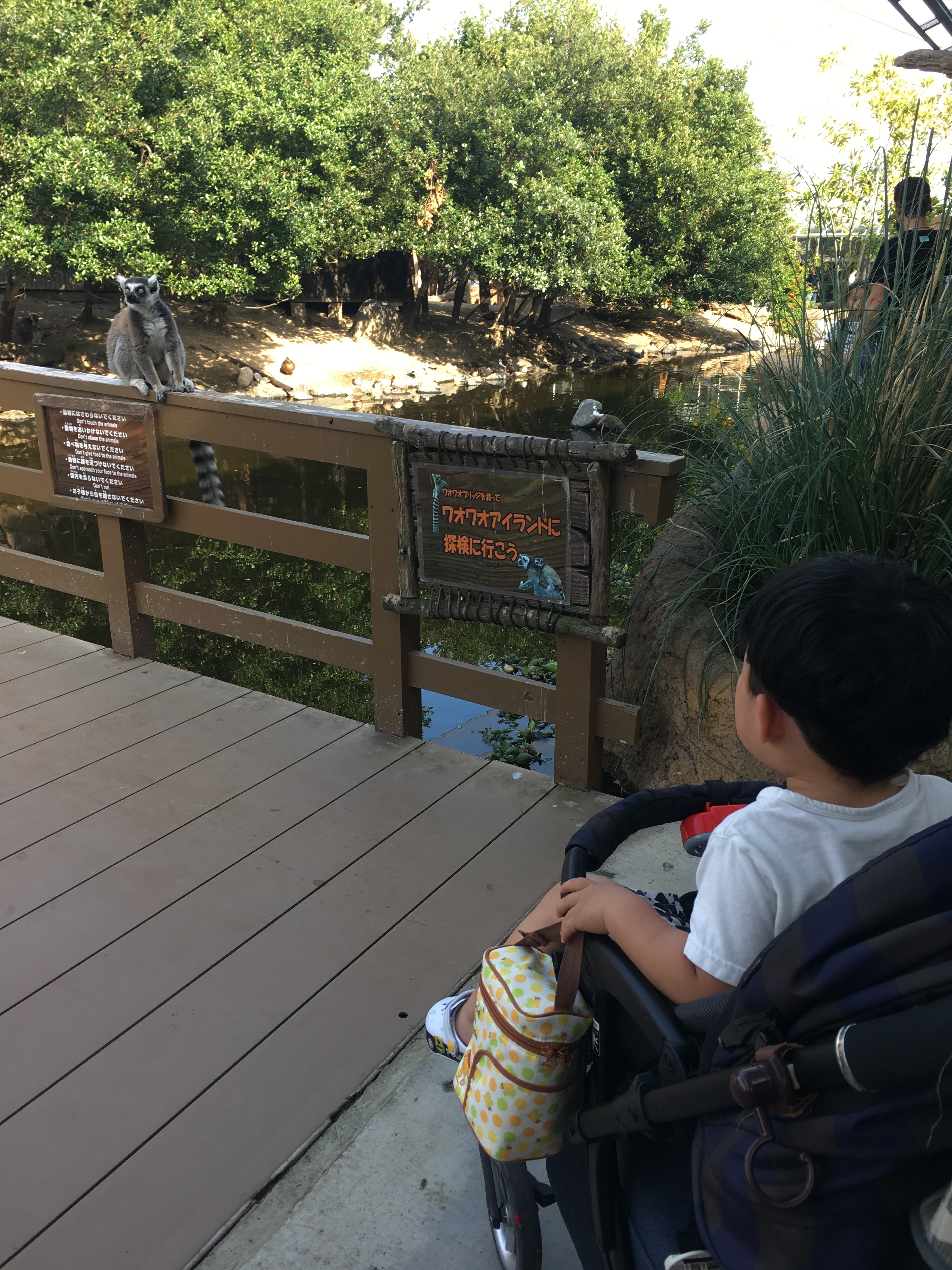 神戸どうぶつ王国_口コミ投稿写真20180625130219