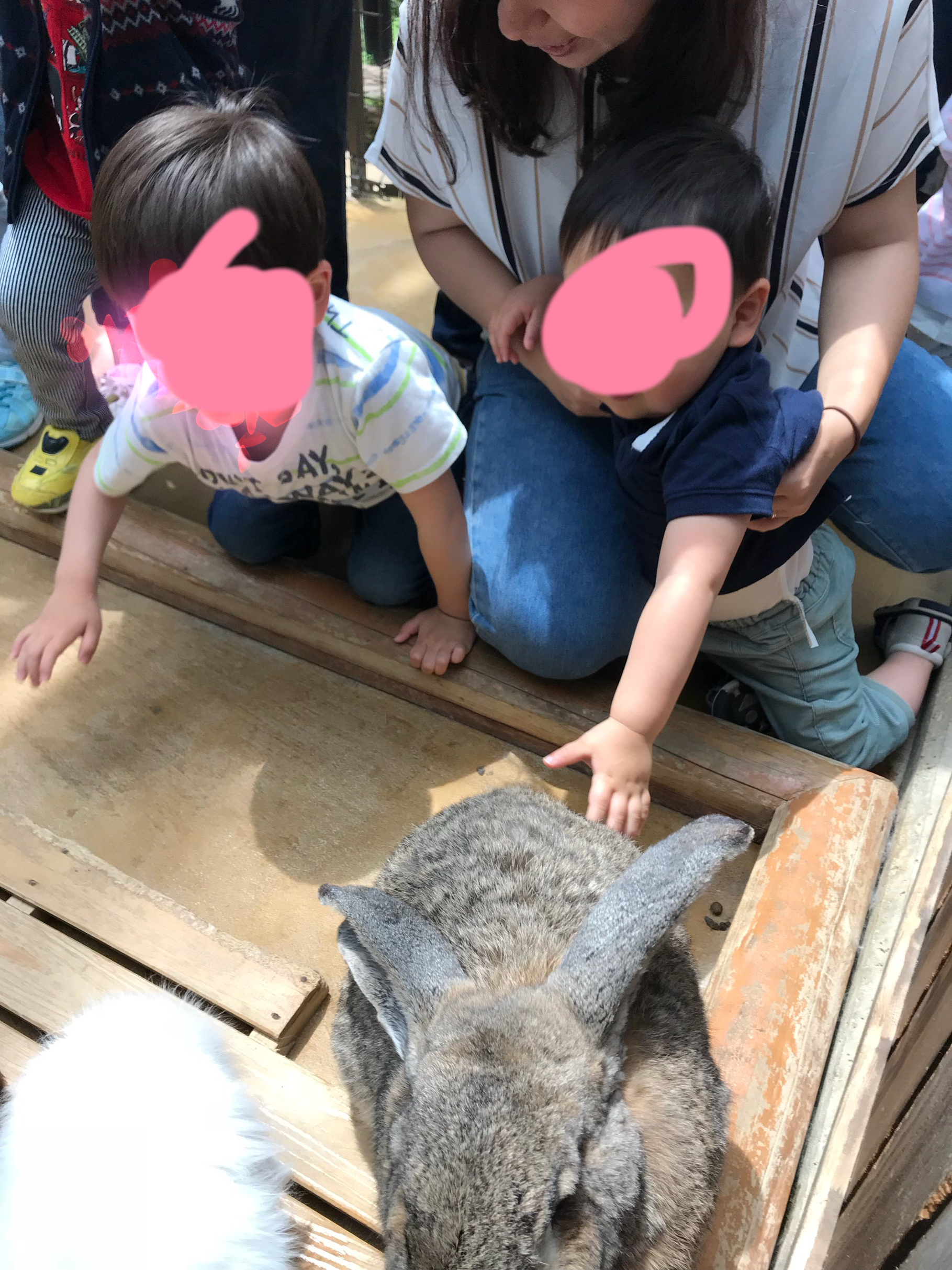 神戸どうぶつ王国_口コミ投稿写真20180802190505