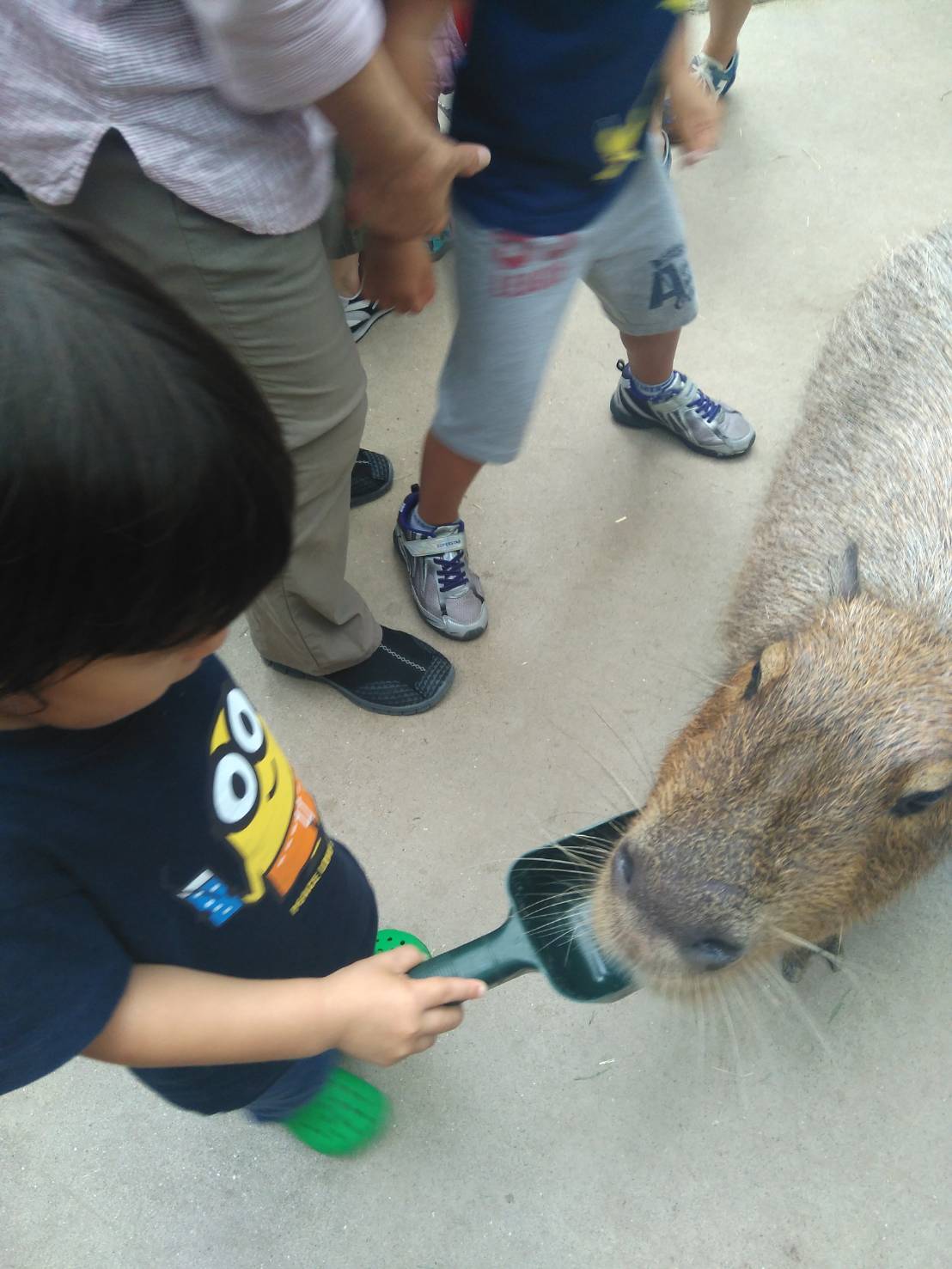神戸どうぶつ王国_口コミ投稿写真20181114025502