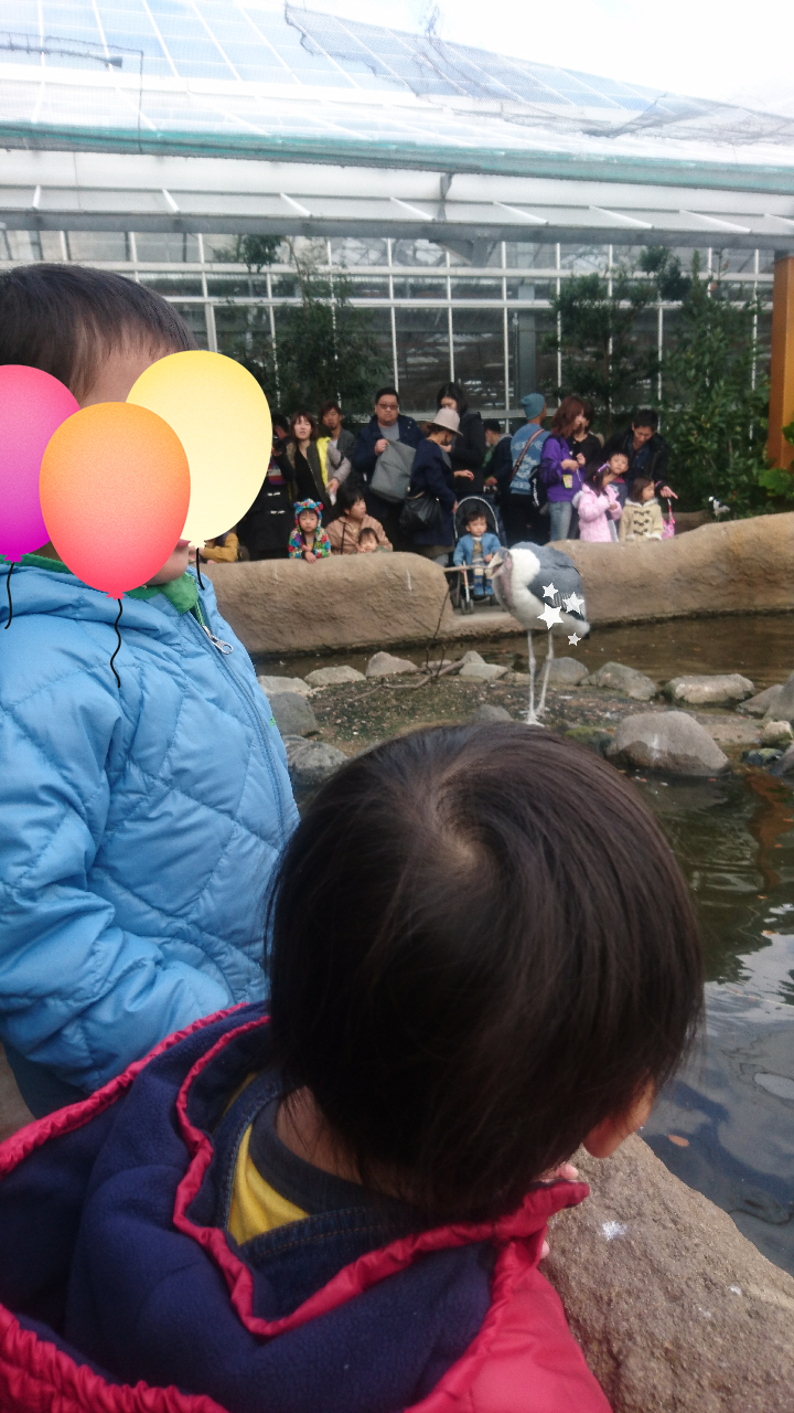 神戸どうぶつ王国_口コミ投稿写真20181127062219