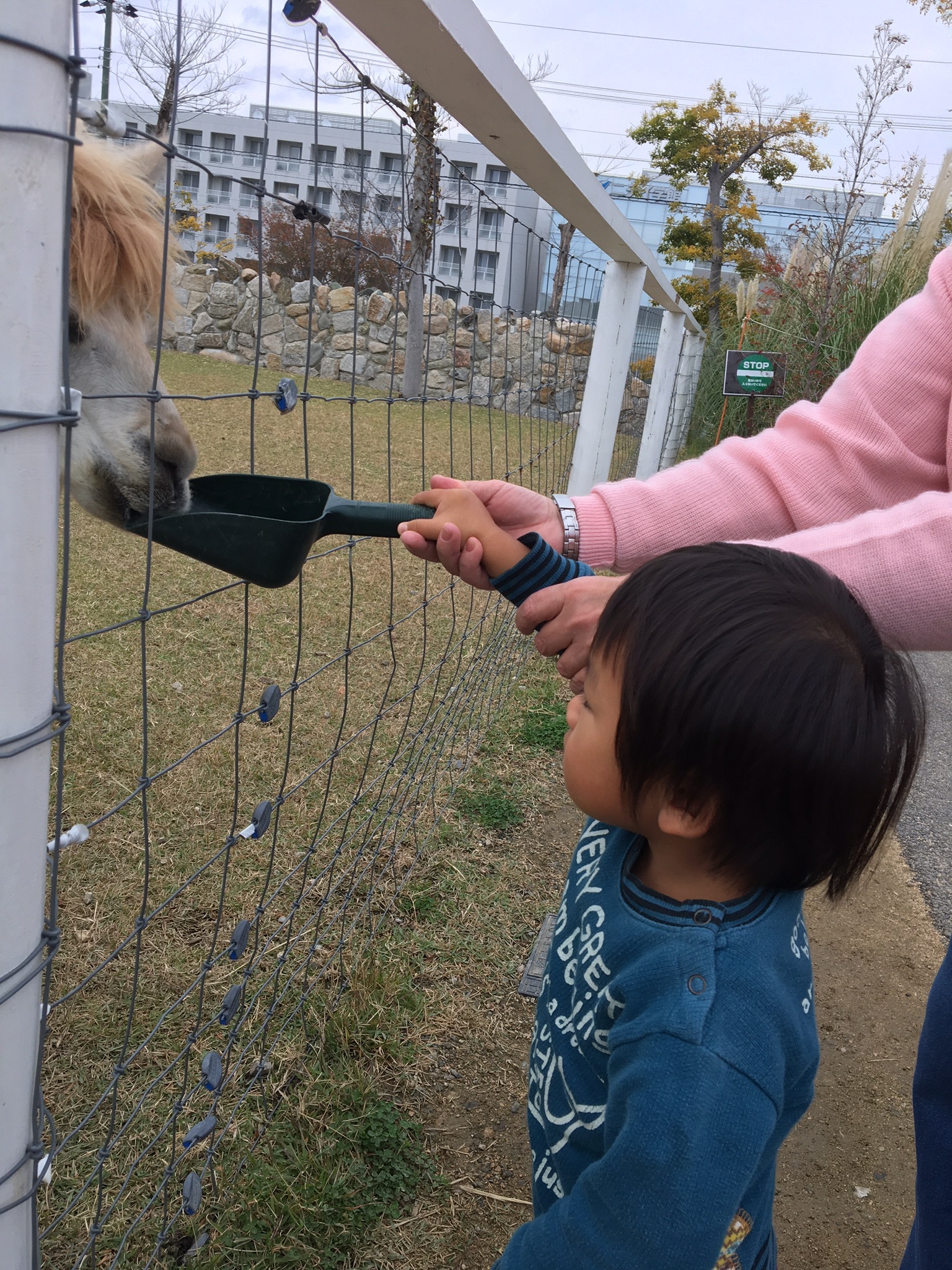神戸どうぶつ王国_口コミ投稿写真20181128145849