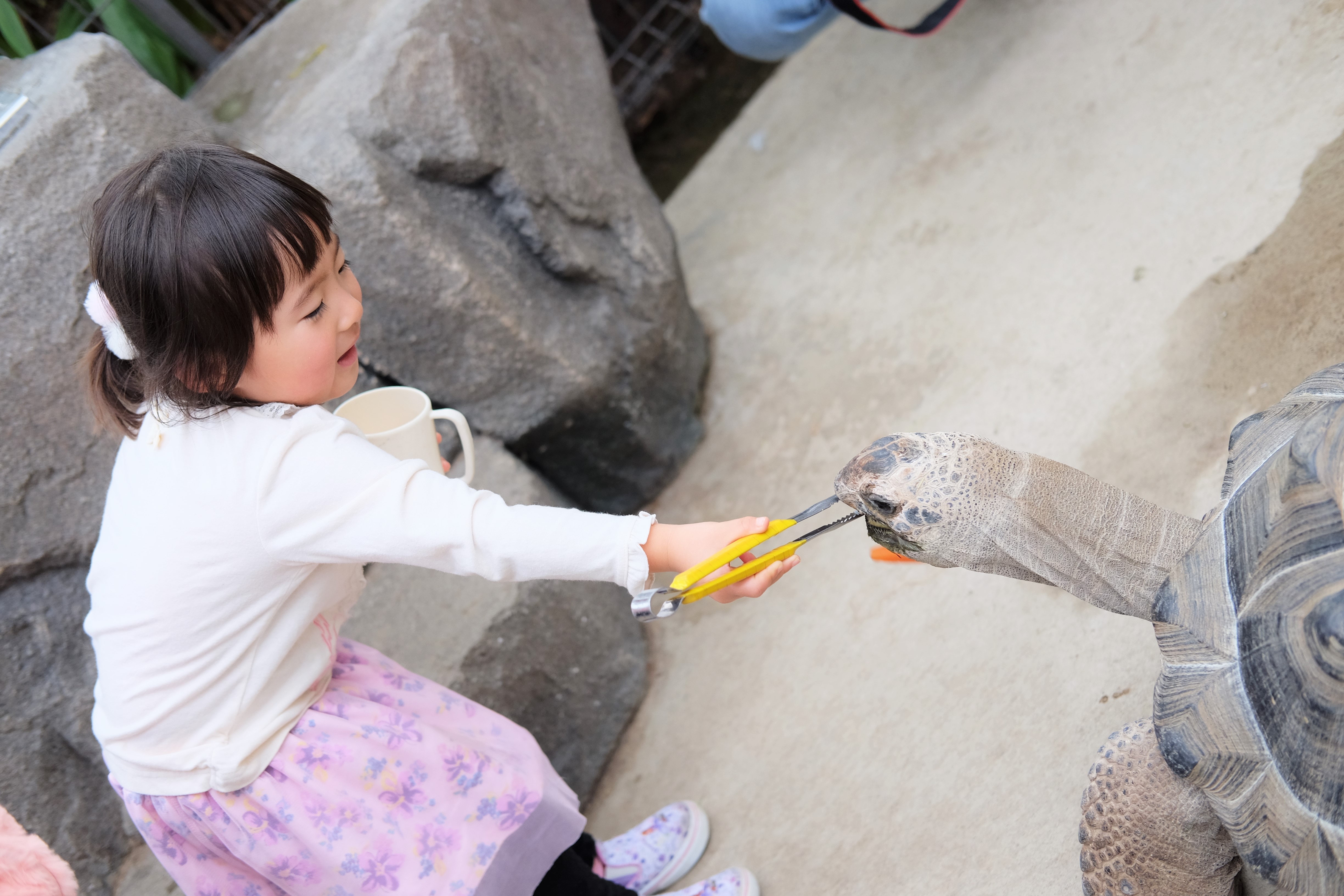 神戸どうぶつ王国_口コミ投稿写真20190204232444