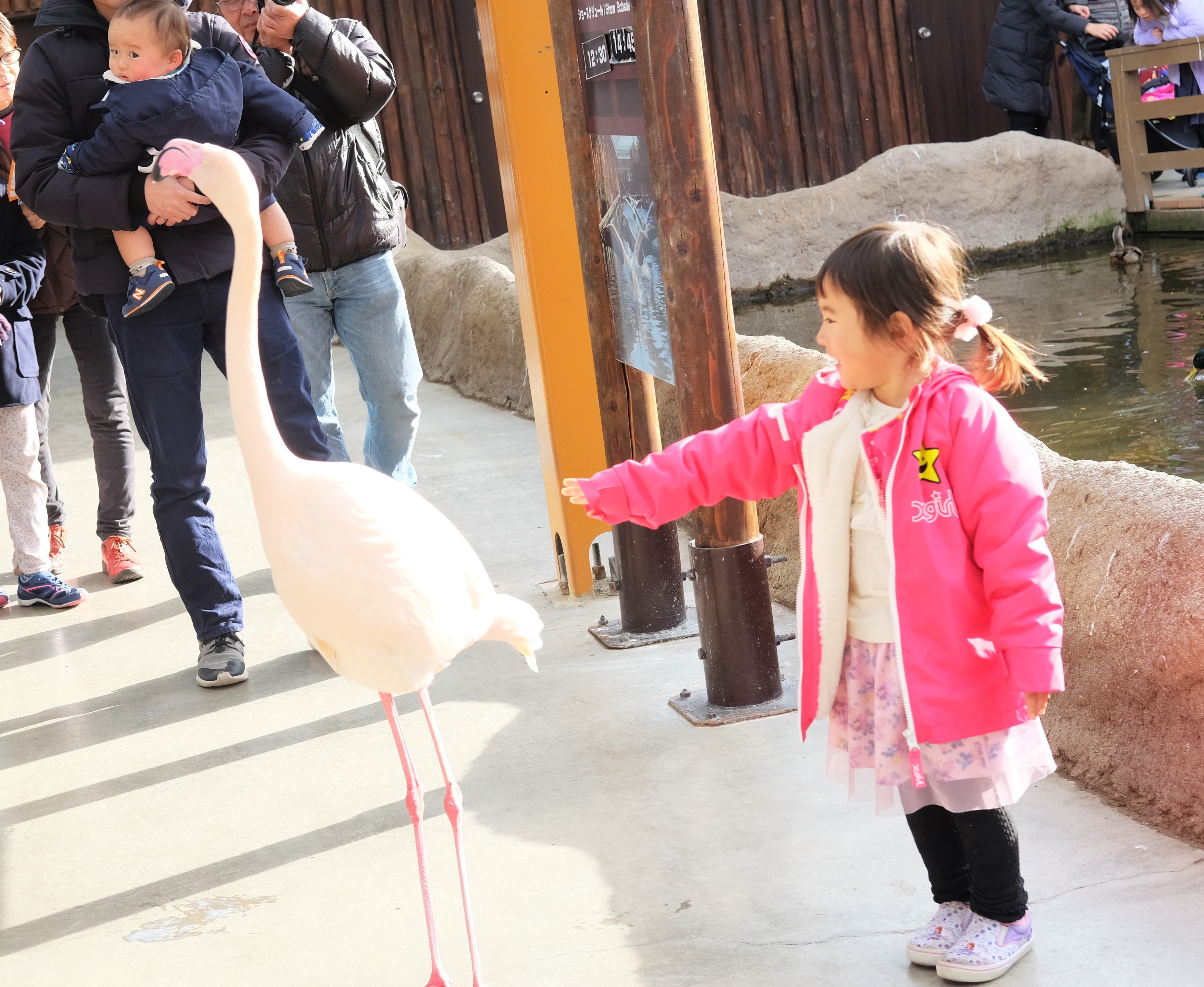 神戸どうぶつ王国_口コミ投稿写真20190204232523