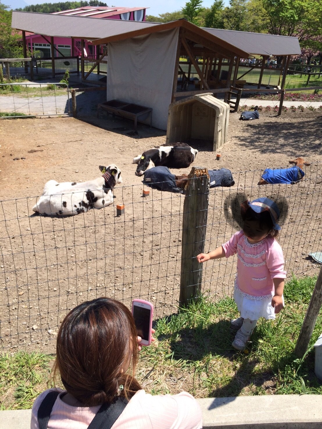 伊香保グリーン牧場_口コミ投稿写真20180516164024