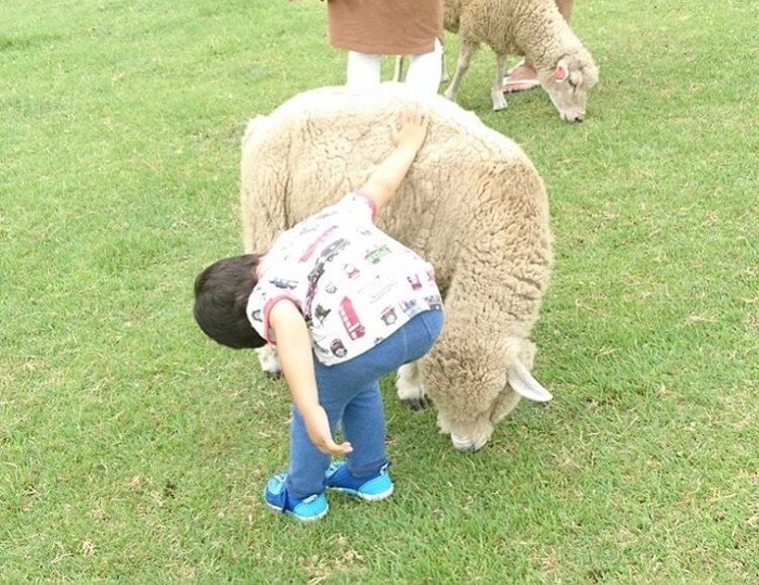 まかいの牧場_口コミ投稿写真20170902000525047