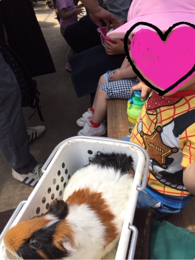 まかいの牧場_口コミ投稿写真20170724205646769