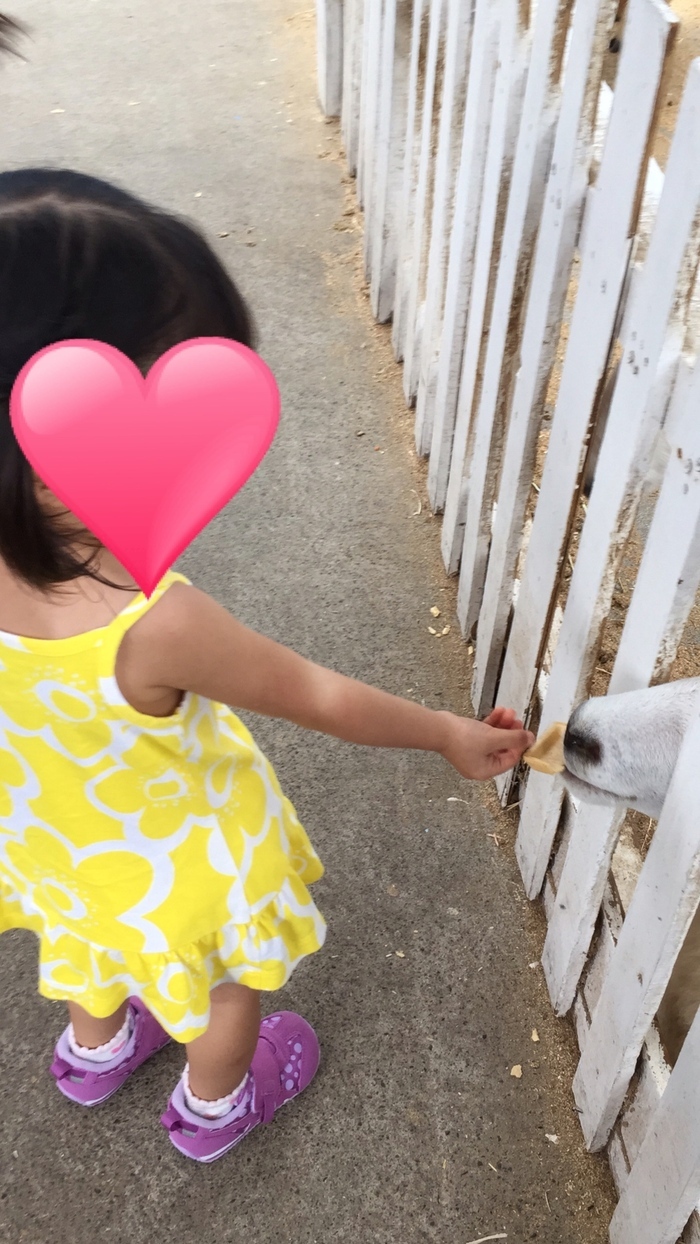 まかいの牧場_口コミ投稿写真20170909122948355