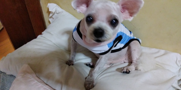 スッキリして、ご機嫌です。