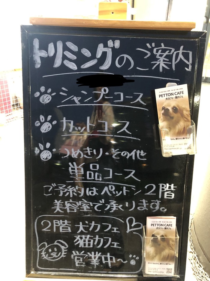 いつも可愛い看板です！