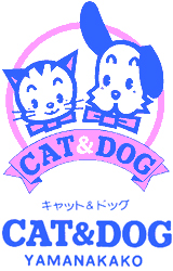CAT＆DOG