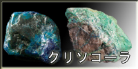 クリソコーラ