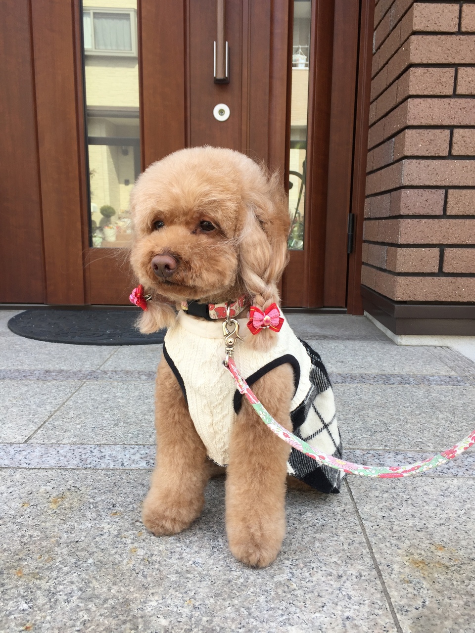 口コミ画像