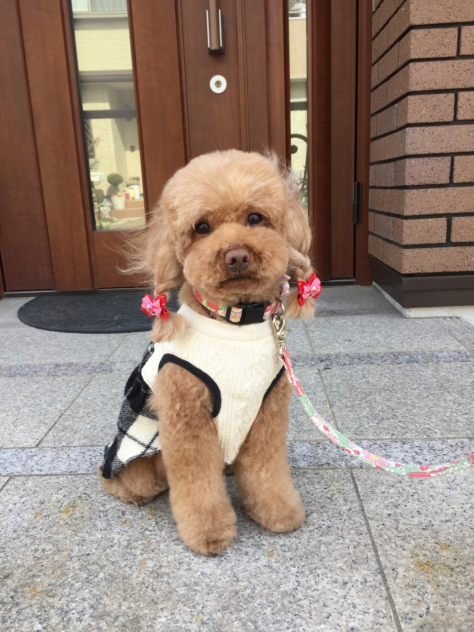 口コミ画像