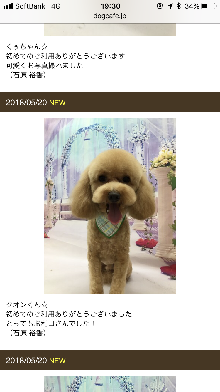 口コミ画像