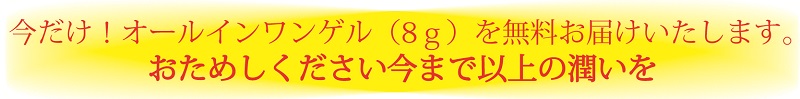 お試し案内