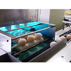 工場による卵の品質管理