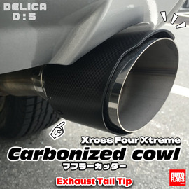 前期型～中期型デリカD5専用】イージーインストペダル GRIPS 商品詳細