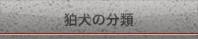 狛犬の分類